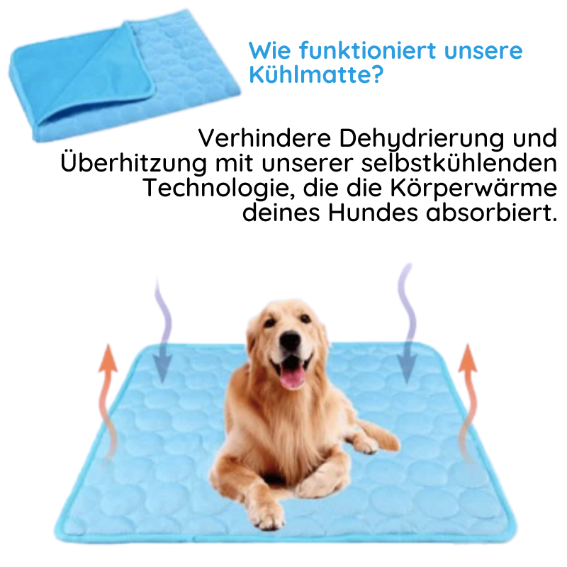 Ein Golden Retriever sitzt fröhlich auf einer blauen Kühlmatte – nimmt Körperwärme auf und schützt vor Überhitzung.